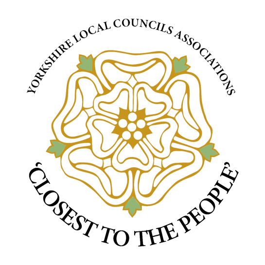 Empower Your Council with Scribe